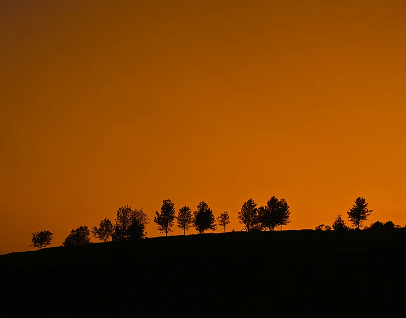 Orange Sky — by Rihaan Kujur